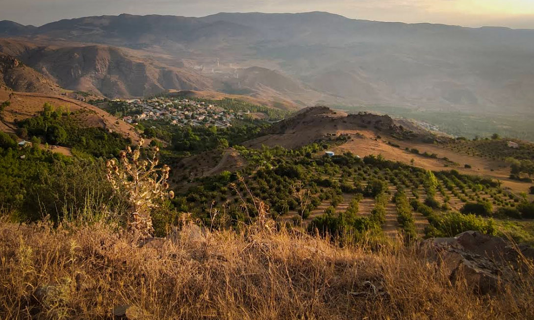 پروژه آبیاری قطره‌ای پیرکوه